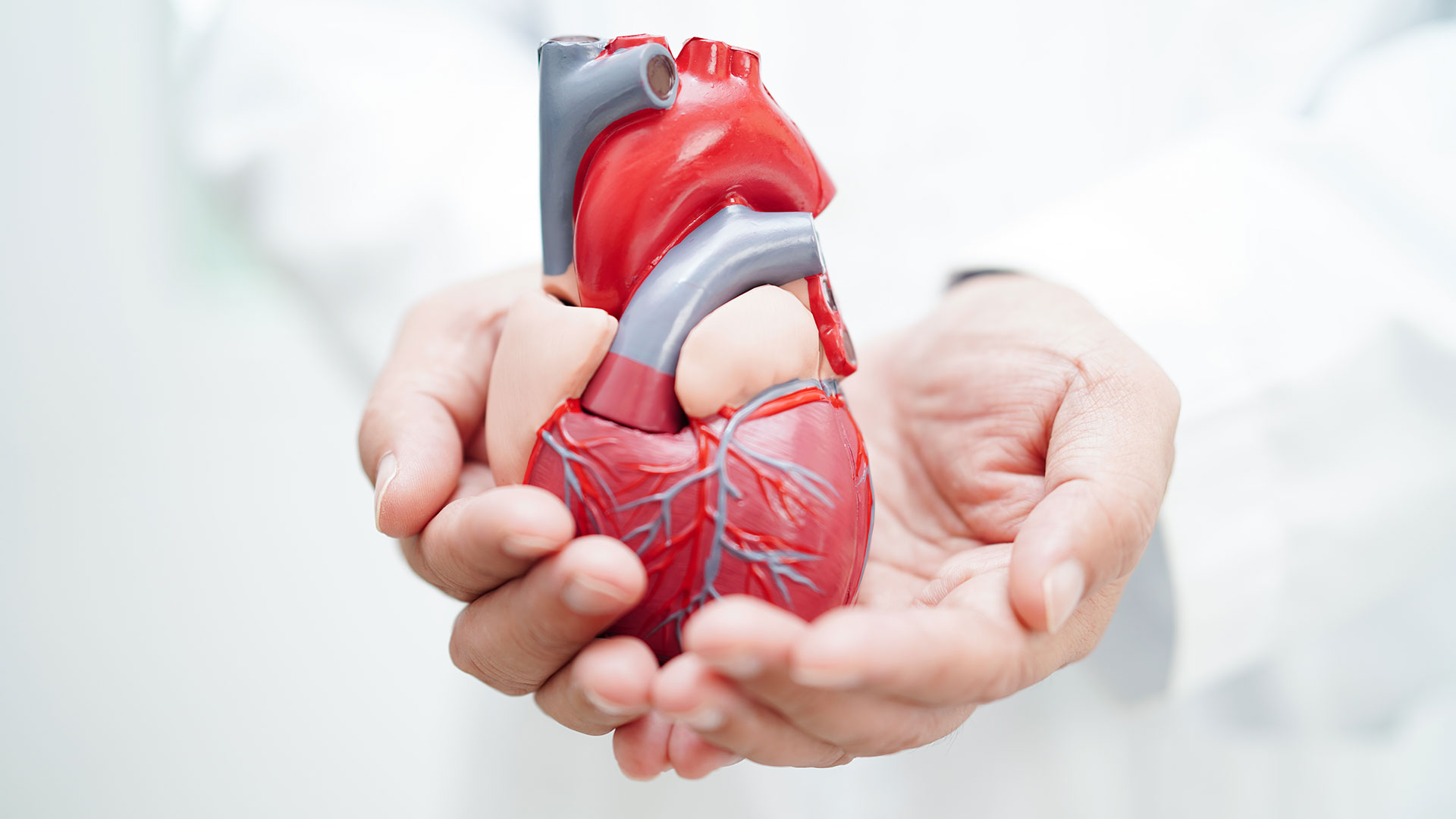 cardiology10