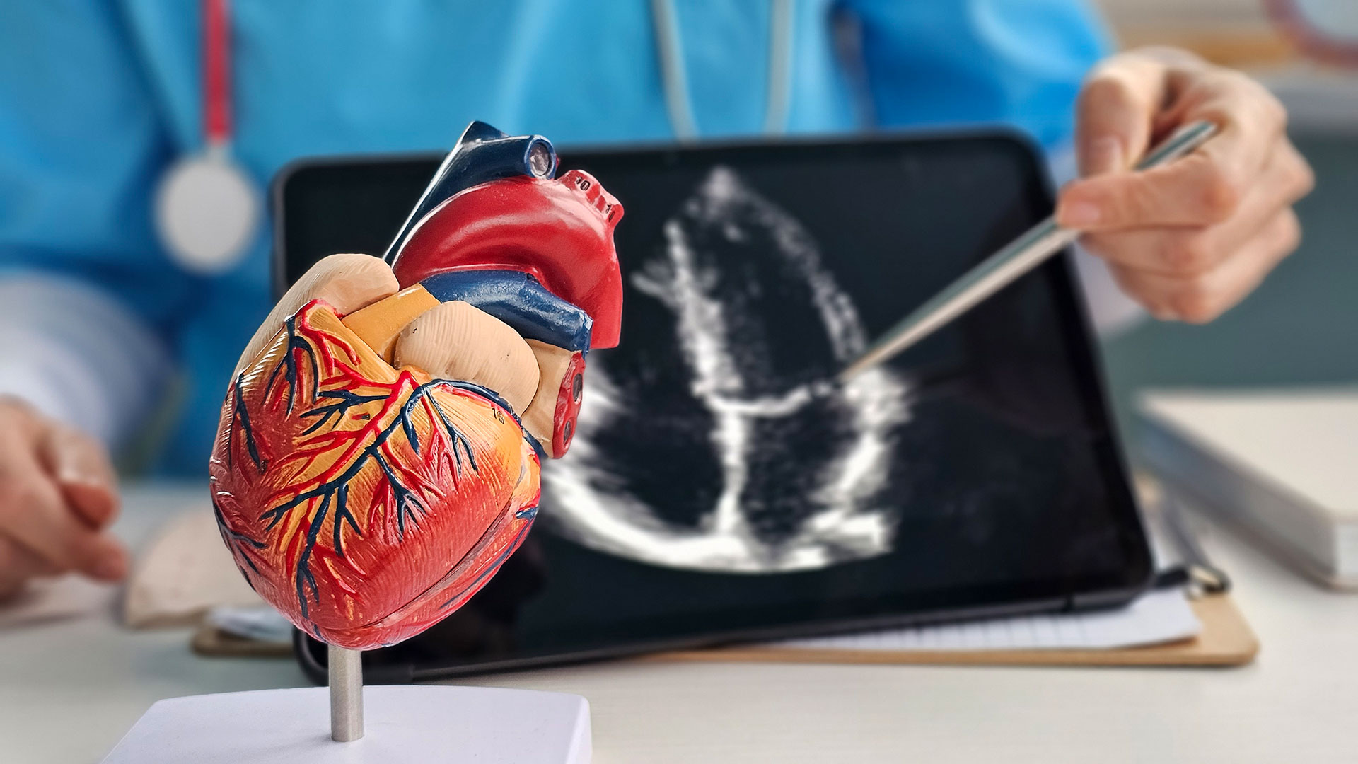cardiology11