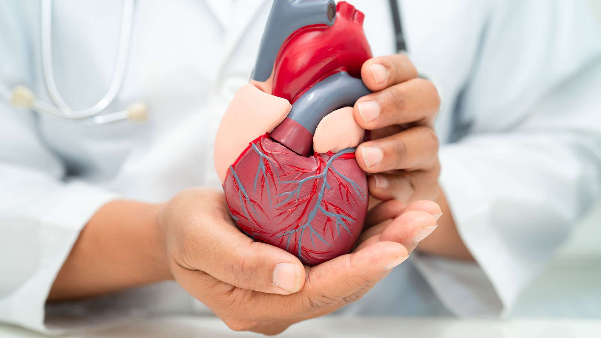 cardiology4